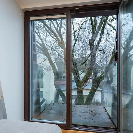 Modern Center アパート タルトゥ